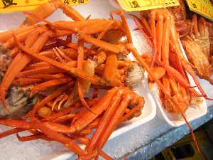 2009/02/21 ���薡�X������_27