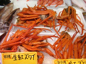 2009/02/21 ���薡�X������_1