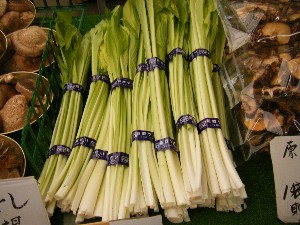 20090321 ���T�̔����ł�_2