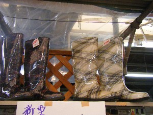 20090321 ���T�̔����ł�_6