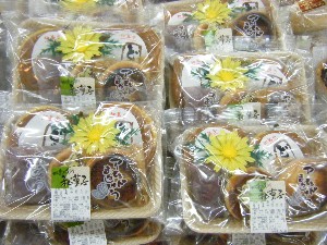 20090321 ���T�̔����ł�_17