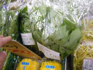 20090321 ���T�̔����ł�_18