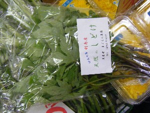 20090321 ���T�̔����ł�_19