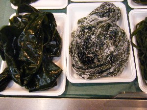 20090321 ���T�̔����ł�_27