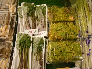20090328 ���T�̔����ł�_4