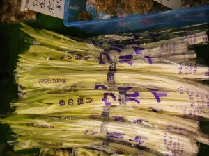 20090328 ���T�̔����ł�_5