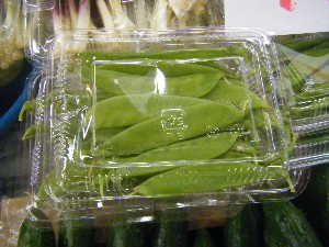 20090328 ���T�̔����ł�_8