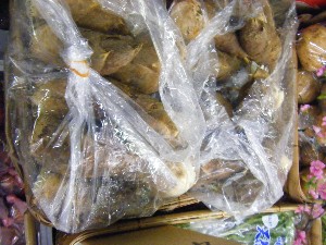 20090328 ���T�̔����ł�_12