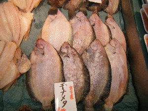 20090328 ���T�̔����ł�_19