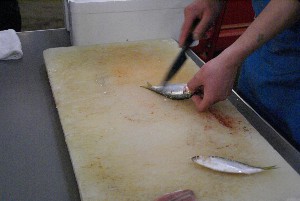20090404 �����̎�J��������_1