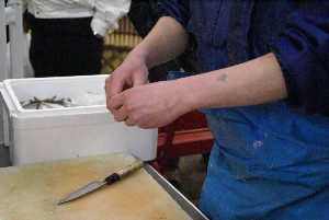 20090404 �����̎�J��������_2