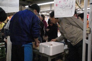 20090404 �����̎�J��������_16
