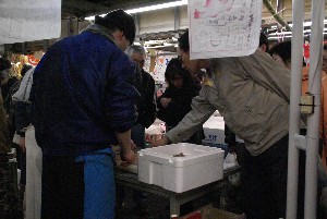 20090404 �����̎�J��������_17