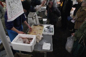 20090404 �����̎�J��������_26