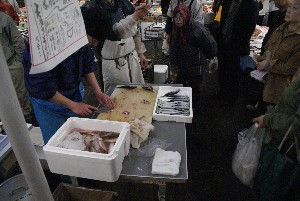 20090404 �����̎�J��������_27