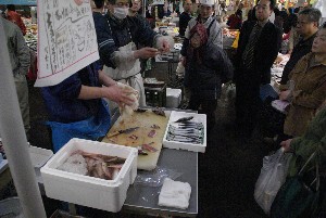 20090404 �����̎�J��������_29
