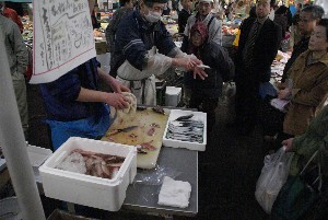 20090404 �����̎�J��������_30