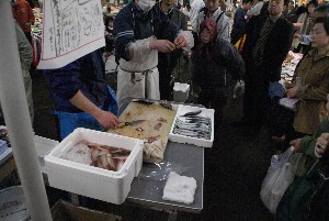 20090404 �����̎�J��������_31