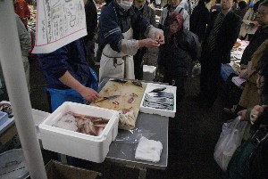 20090404 �����̎�J��������_32