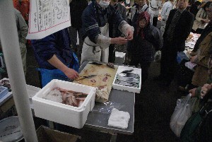 20090404 �����̎�J��������_34