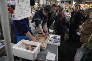 20090404 �����̎�J��������_43