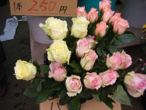 20090412 ���T�̔����ł�_5