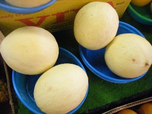 20090412 ���T�̔����ł�_22