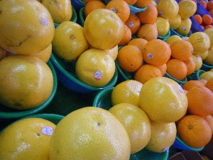 20090412 ���T�̔����ł�_23