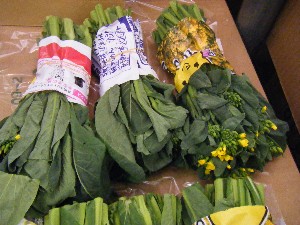 20090412 ���T�̔����ł�_31