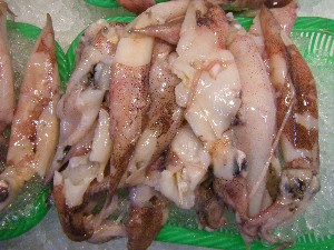 20090412 ���T�̔����ł�_36