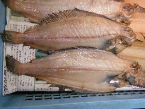 20090412 ���T�̔����ł�_40
