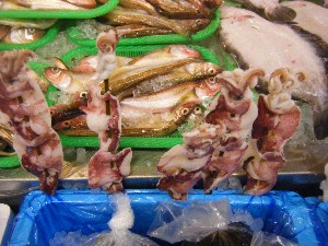 20090412 ���T�̔����ł�_48