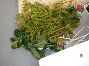 2009/04/11 �ڂ��؂̎�����_4