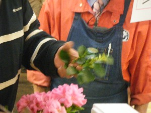 2009/04/11 �ڂ��؂̎�����_11