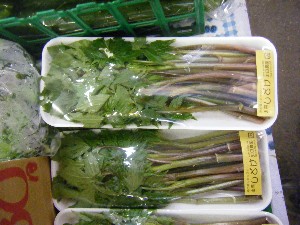 20090418�@�˓c�v����́@��񂱂��΂̎�����_19