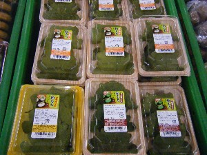 20090418�@�˓c�v����́@��񂱂��΂̎�����_20