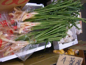 20090418�@�˓c�v����́@��񂱂��΂̎�����_38