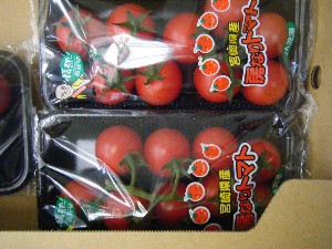 20090418�@�˓c�v����́@��񂱂��΂̎�����_43