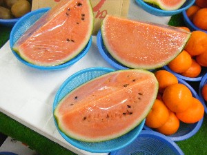 2009/04/26 ���T�̔����ł�_17