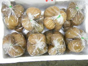 2009/04/26 ���T�̔����ł�_18