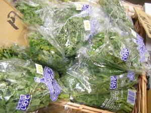 2009/04/26 ���T�̔����ł�_28