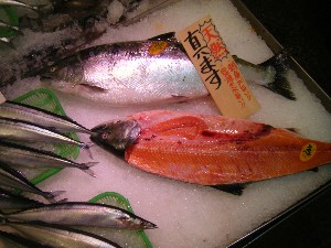 2009/04/26 ���T�̔����ł�_32