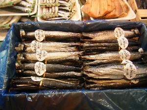 2009/04/26 ���T�̔����ł�_36