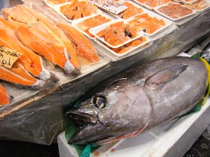 2009/04/26 ���T�̔����ł�_43