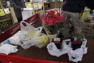 2009/04/26 �I�[�N�V�������_3