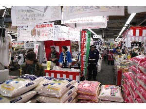 2009/04/25�@�n�揤�i���̔�_9