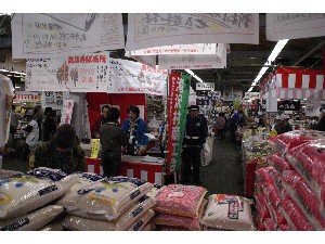 2009/04/25�@�n�揤�i���̔�_10