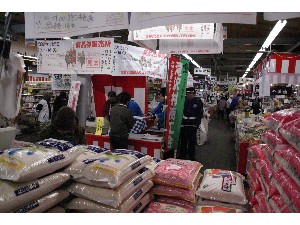 2009/04/25�@�n�揤�i���̔�_11