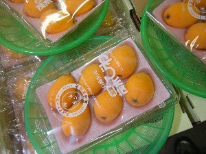 2009/05/02�@�劘������_10