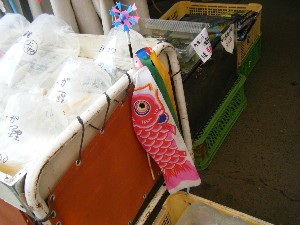 2009/05/02�@�劘������_19